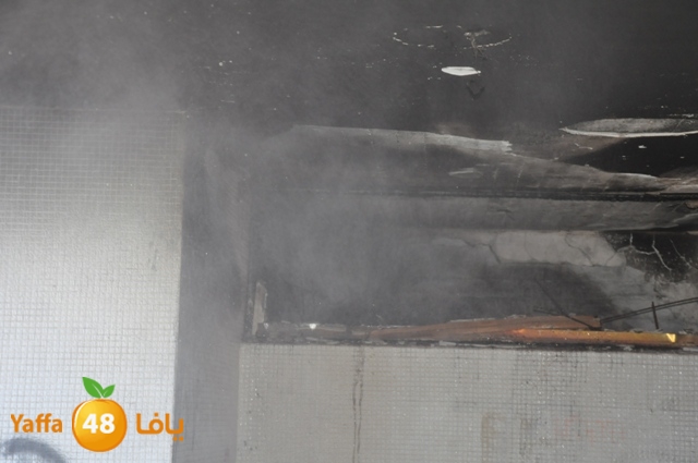 fireshekonatelarab (27).JPG